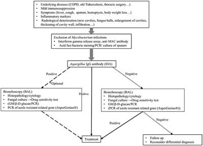 Recent Advances in Diagnosing Chronic Pulmonary Aspergillosis